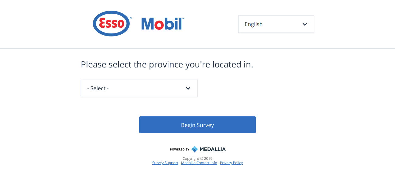 lowes food survey
