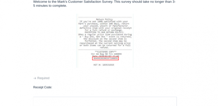 mark survey logo