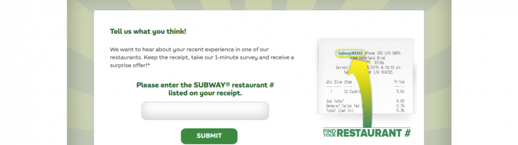 subway customer survey logo