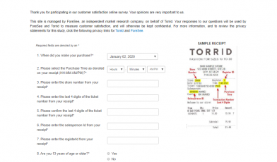 torrid-customer-satisfaction-survey