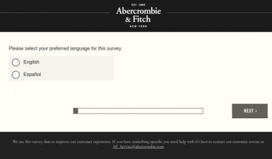 Abercrombie and Fitch Survey