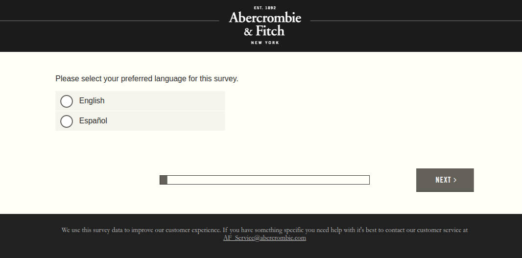 Abercrombie and Fitch Survey