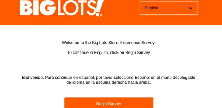 biglots survey